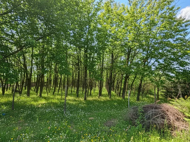 Eladó ház Kecskemét 75 nm