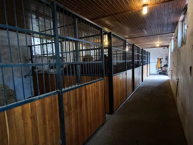 Eladó kereskedelmi és ipari ingatlan Kecskemét 650 nm