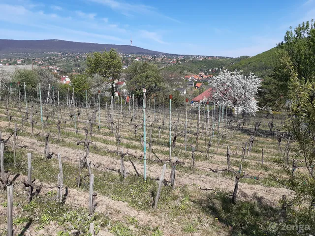 Eladó telek Pécs, Ürög 1450 nm