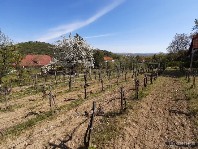 Eladó telek Pécs, Ürög 1650 nm