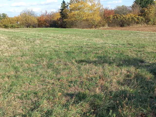 Eladó telek Csákvár 2154 nm