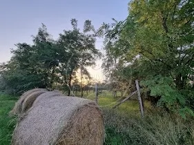 Eladó mezőgazdasági ingatlan Gyula 2 nm