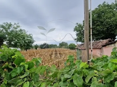 Eladó telek Kétegyháza 1000 nm