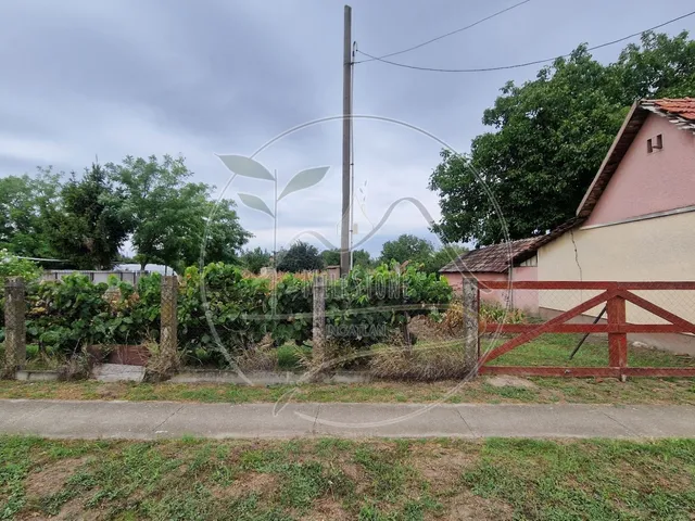 Eladó telek Kétegyháza 1000 nm