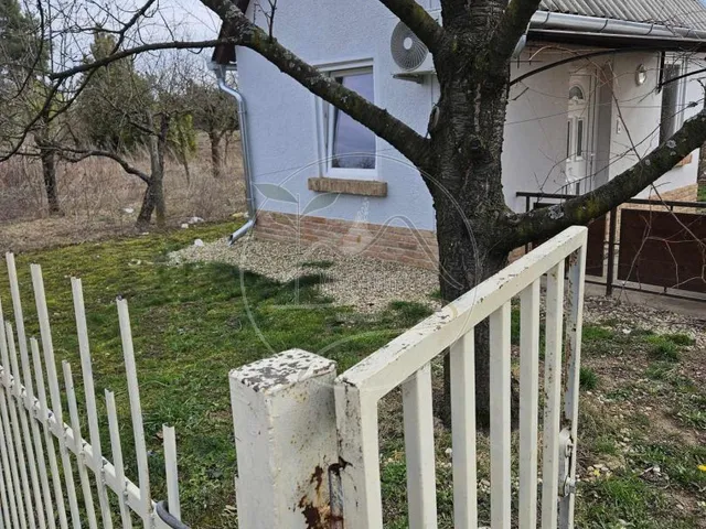 Eladó mezőgazdasági ingatlan Gyula 800 nm