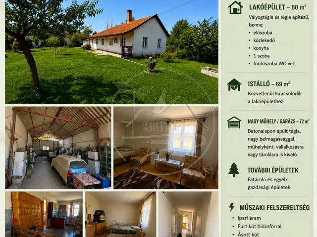 Eladó mezőgazdasági ingatlan Gyula 1151 nm