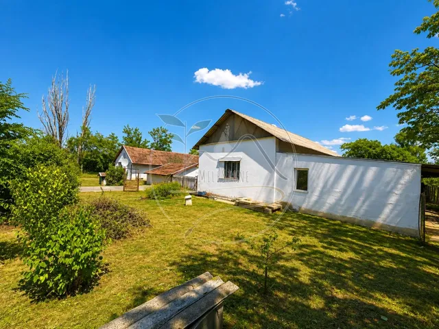 Eladó mezőgazdasági ingatlan Gyula 1151 nm