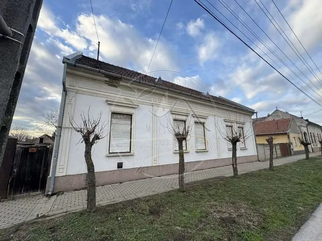Eladó ház Elek 169 nm