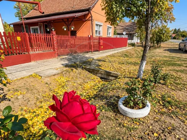 Eladó ház Mezőgyán 75 nm