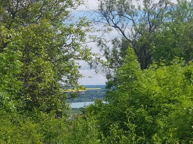 Eladó telek Balatonalmádi, Vöröshegy 4200 nm