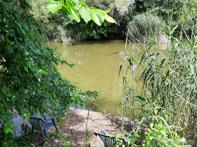 Eladó telek Ráckeve, Somlyó-sziget, Kagyló u.7. 1511 nm