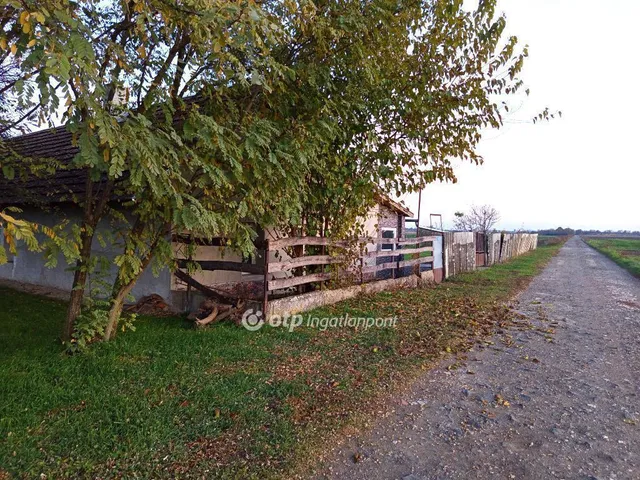 Eladó mezőgazdasági ingatlan Szarvas 126 nm
