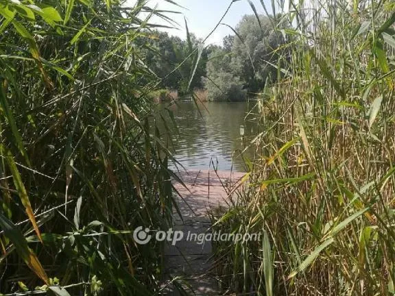 Eladó ház Cibakháza 70 nm