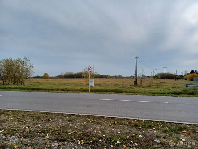Eladó mezőgazdasági ingatlan Kecskemét, Homokbánya 60000 nm