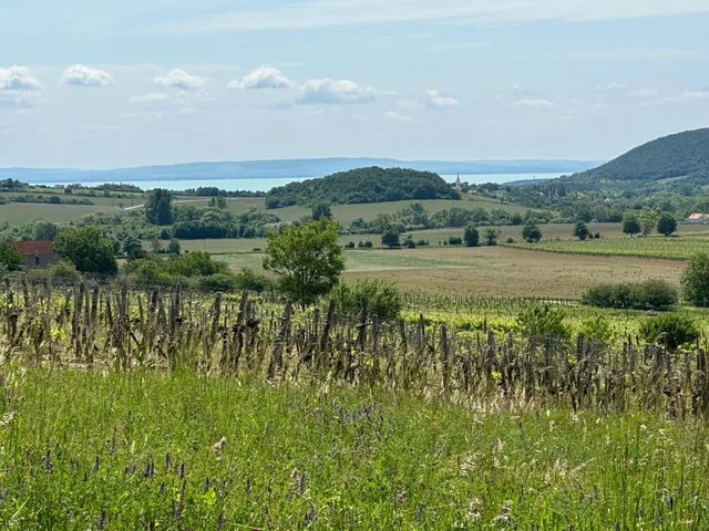 Eladó ház Szentjakabfa 80 nm
