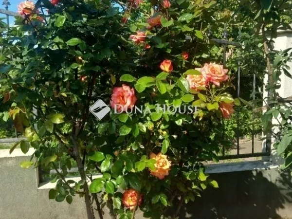 Eladó ház Százhalombatta 85 nm