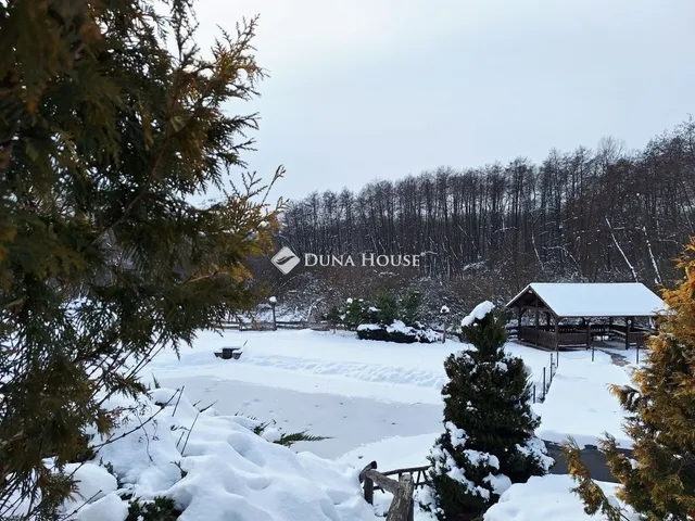 Eladó üdülő és hétvégi ház Domony 256 nm