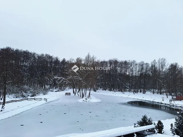 Eladó üdülő és hétvégi ház Domony 256 nm