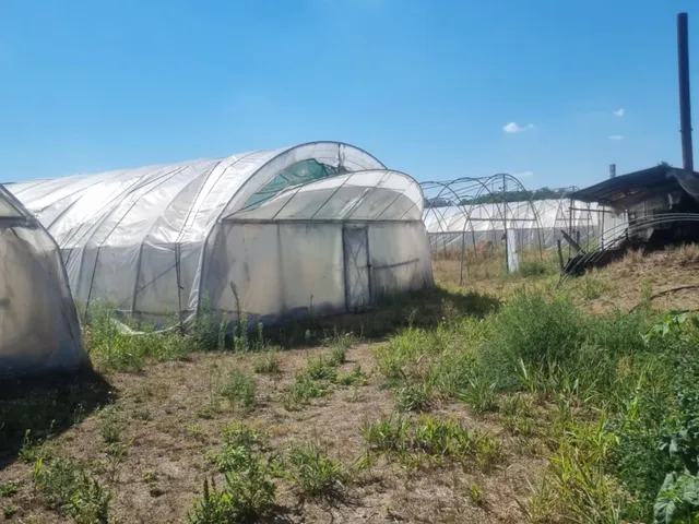 Eladó telek Szatymaz, Jánosszállási kertsor 5400 nm