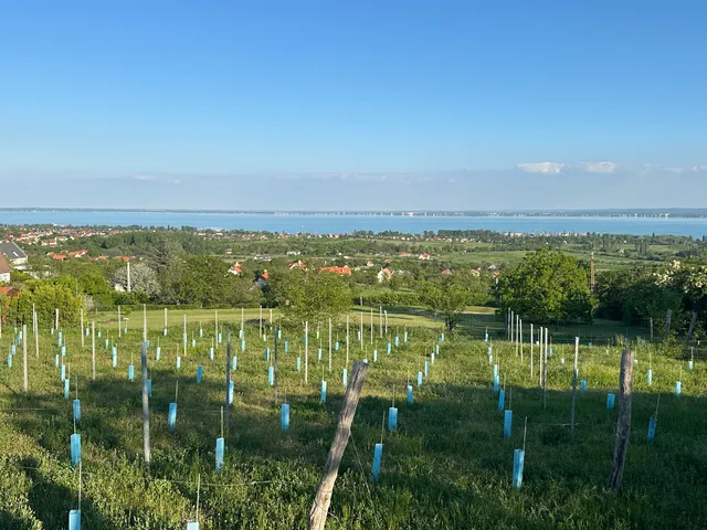 Eladó telek Lovas 2860 nm