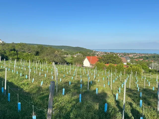 Eladó telek Lovas 2860 nm