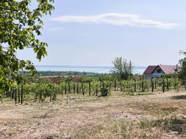 Eladó telek Lovas 2484 nm
