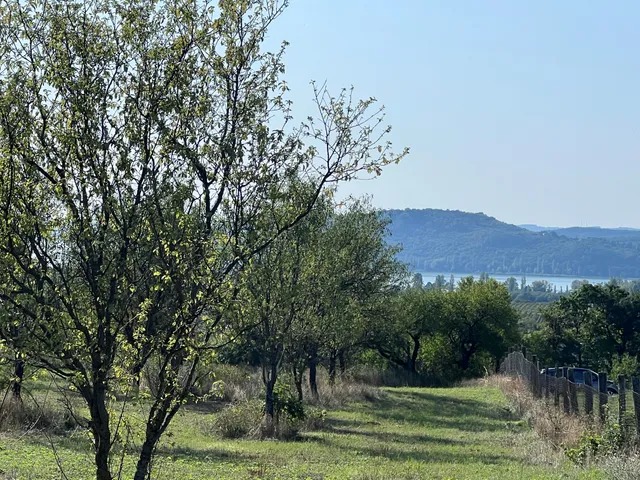 Eladó mezőgazdasági ingatlan Balatonfüred 2654 nm
