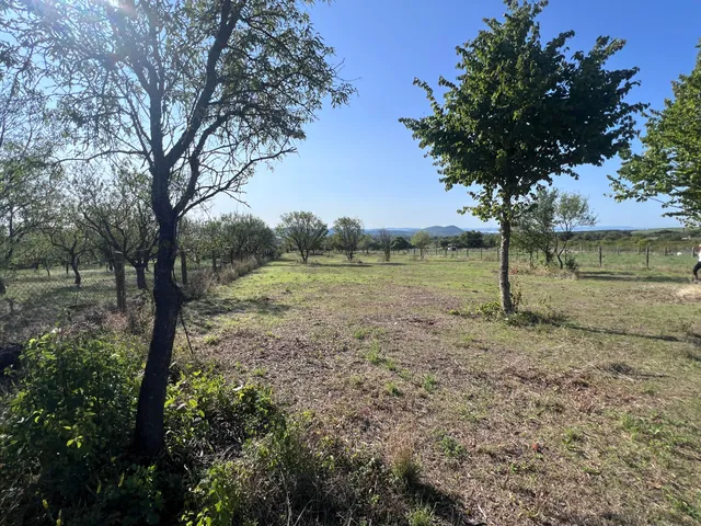 Eladó mezőgazdasági ingatlan Balatonfüred, Bocsár 2654 nm