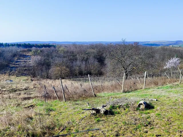 Eladó mezőgazdasági ingatlan Eger 3143 nm