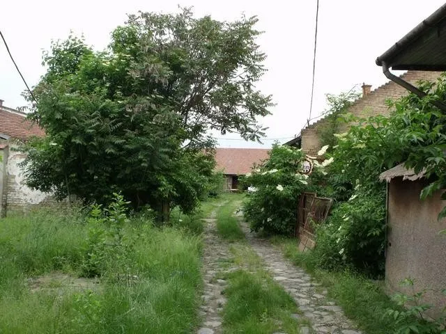Eladó telek Hódmezővásárhely 600 nm