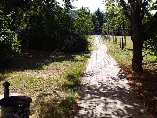 Kiadó lakás Csongrád 65 nm