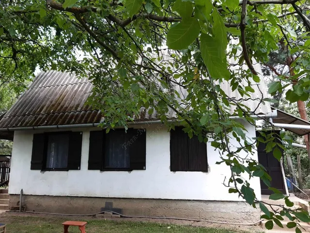 Eladó mezőgazdasági ingatlan Szentes 21 nm