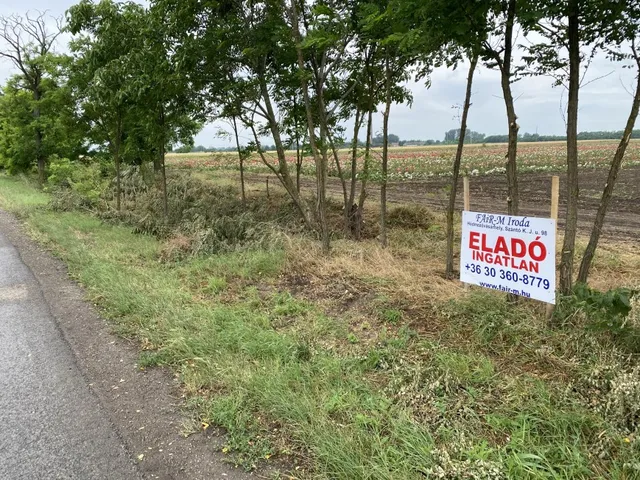 Eladó mezőgazdasági ingatlan Szeged, Szőreg 17153 nm