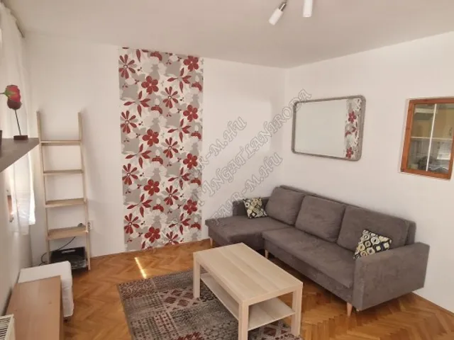 Kiadó lakás Hódmezővásárhely 24 nm