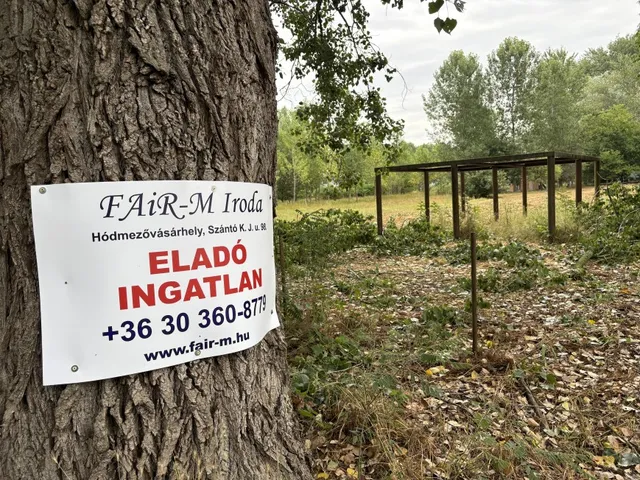 Eladó telek Mindszent 1170 nm