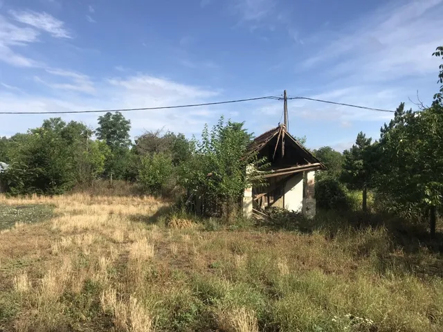 Eladó mezőgazdasági ingatlan Szentes 5316 nm