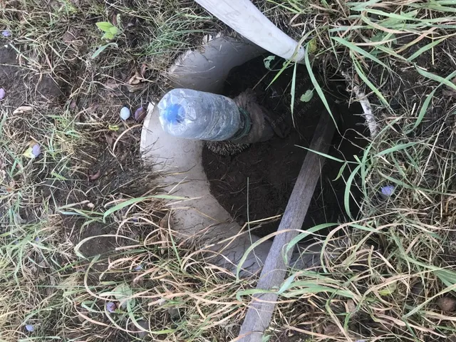 Eladó mezőgazdasági ingatlan Szentes 5316 nm