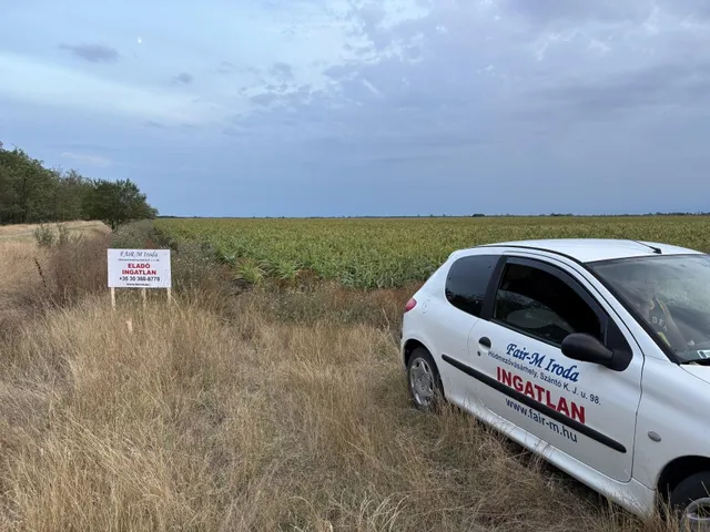 Eladó mezőgazdasági ingatlan Hódmezővásárhely 53438 nm