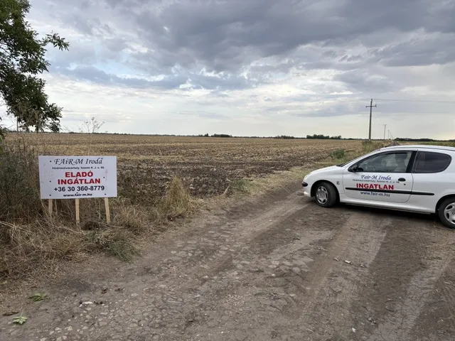 Eladó mezőgazdasági ingatlan Hódmezővásárhely 2833388 nm