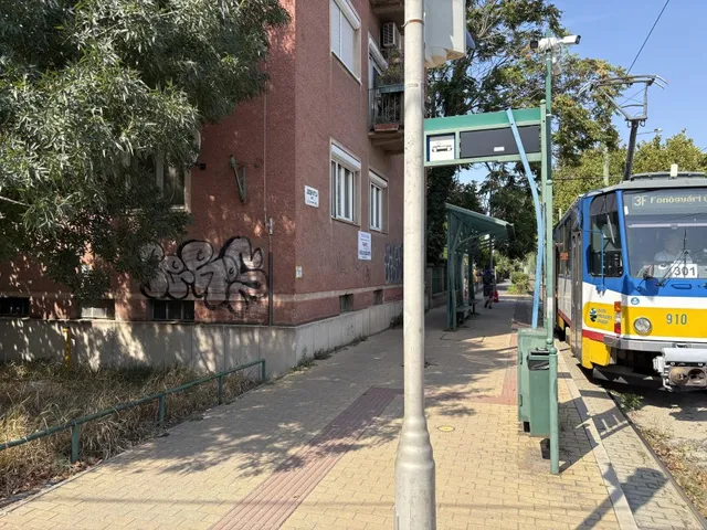Eladó lakás Szeged, Felsőváros 91 nm
