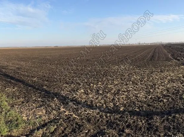 Eladó mezőgazdasági ingatlan Óföldeák 16493 nm