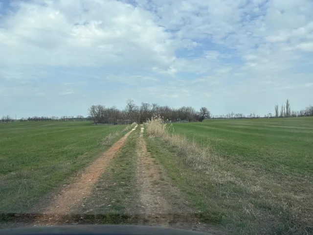 Eladó mezőgazdasági ingatlan Hódmezővásárhely 100 nm