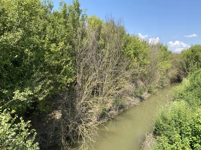 Eladó ház Hódmezővásárhely 16261 nm