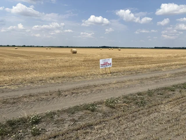 Eladó mezőgazdasági ingatlan Hódmezővásárhely, Batida 43738 nm