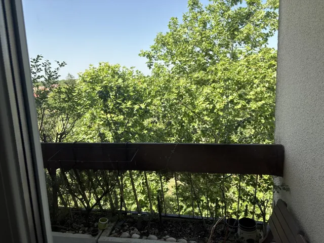 Eladó lakás Hódmezővásárhely 62 nm