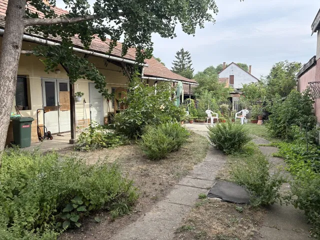 Eladó ház Hódmezővásárhely 177 nm