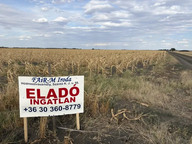 Eladó mezőgazdasági ingatlan Hódmezővásárhely 69000 nm