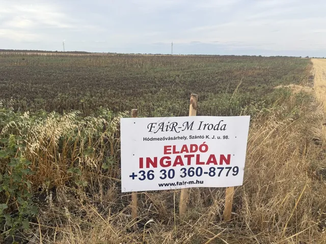 Eladó mezőgazdasági ingatlan Maroslele