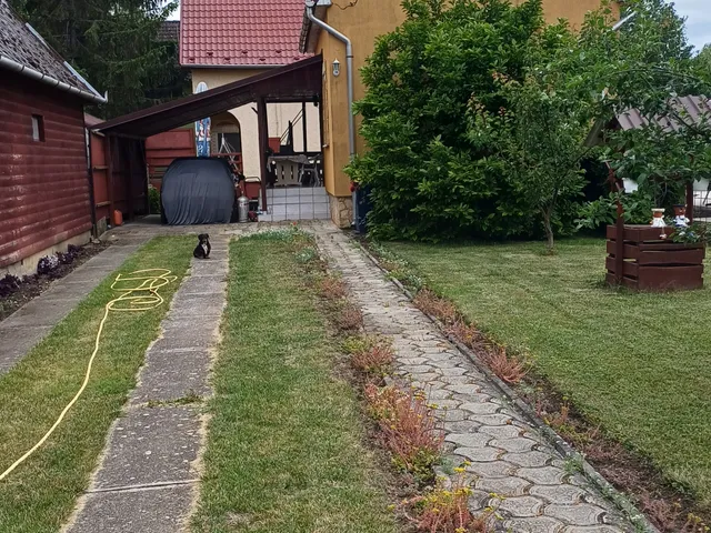 Eladó nyaraló Tiszavasvári, Tölgyes 50 nm