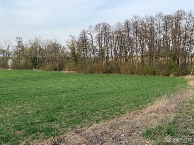 Eladó telek Juta 3419 nm